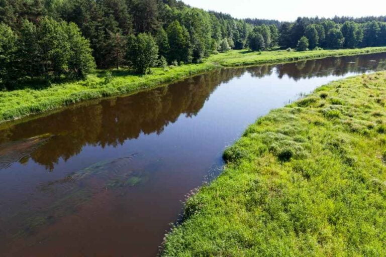 What is Eerd River: You Need To Know About This