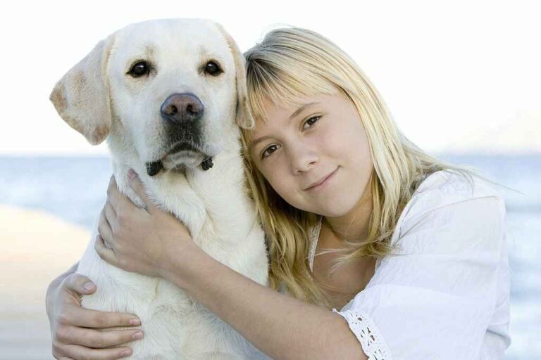 What is Labradorii: Everything You Need To Know