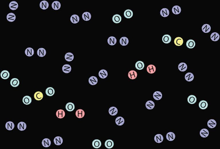 HCOOCH CH₂ H₂O: Find Structure, Properties, and Applications