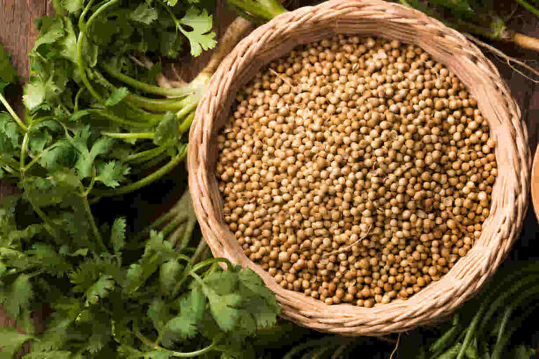 What is Koriandri: A Complete Guide & Health Benefits